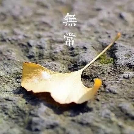 前世来生 因果轮回!