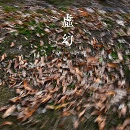 前世来生 因果轮回!