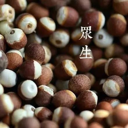 前世来生 因果轮回!