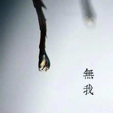 前世来生 因果轮回!