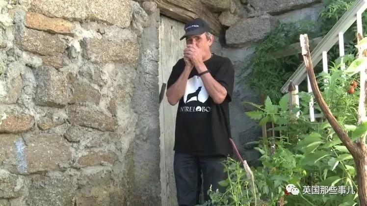 从小被狼养大后被迫回归人类社会 他失望
