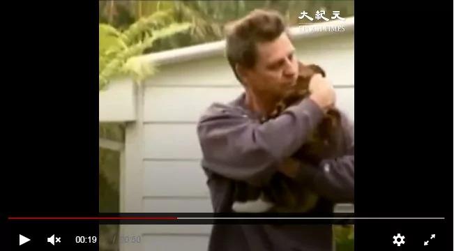 他收留了流浪猫 没想到猫咪却救了他!
