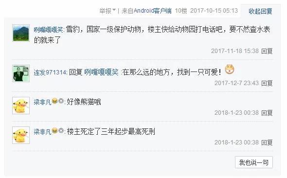 在海拔5千米的地方捡了只猫 网友:这看着像雪豹啊?