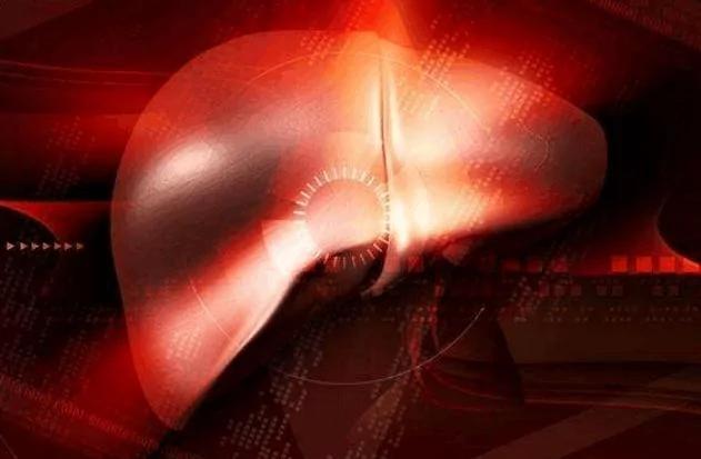 肝脏容易受损 哪些方式可以养肝护肝?