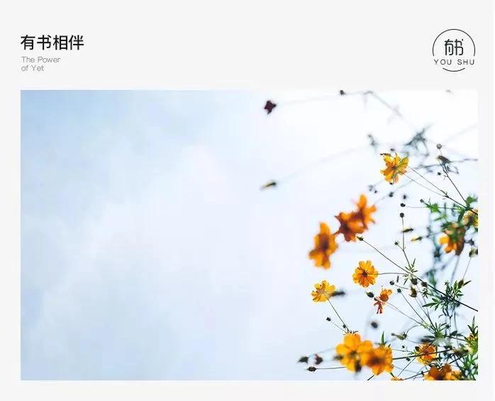 一个人真正的修养 看失意时的善良!