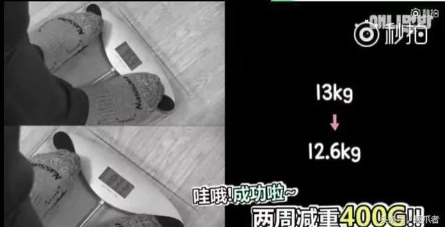 26斤肥猫像巨婴:为逼其减肥主人绞尽脑汁 跑步时居然睡着了!