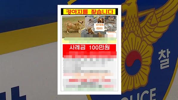 韩国女子悬赏100万找柯基 发现已被邻居大叔吃掉!