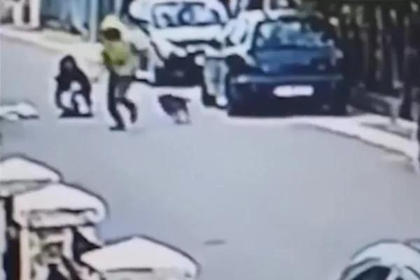 浪浪救了她!女子一人遭尾随男子抢包包 没想到它飞扑过去…