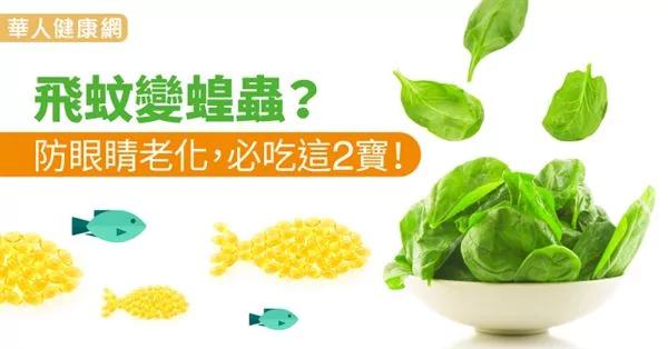 飞蚊变蝗虫?防眼睛老化 必吃护眼2宝