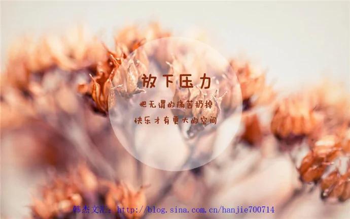 放下 你就赢了(深度好文)!
