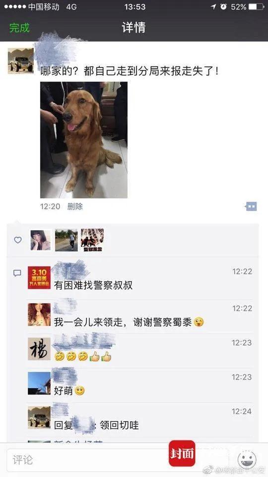厉害!1岁金毛走失15小时 自行到公安局"报警"