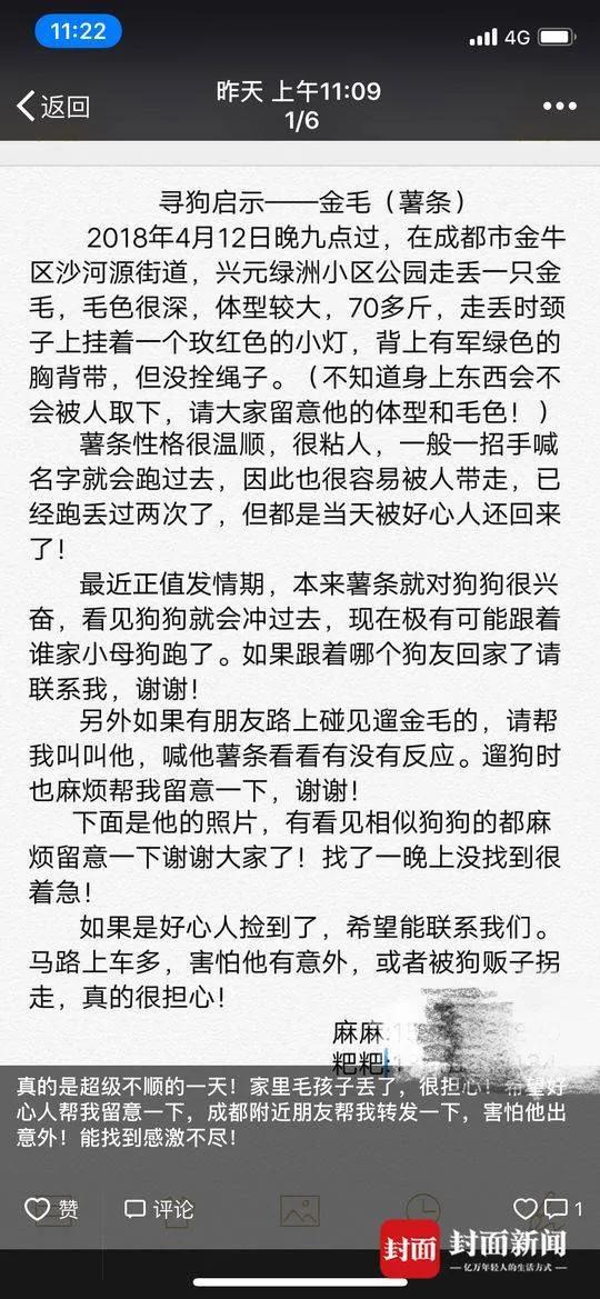 厉害!1岁金毛走失15小时 自行到公安局"报警"