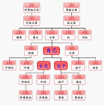 【揭秘】王光美欲同夫坐牢抚养爱女 刘说了这四个字