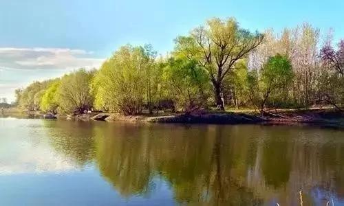 花是浇死的 人是气死的!
