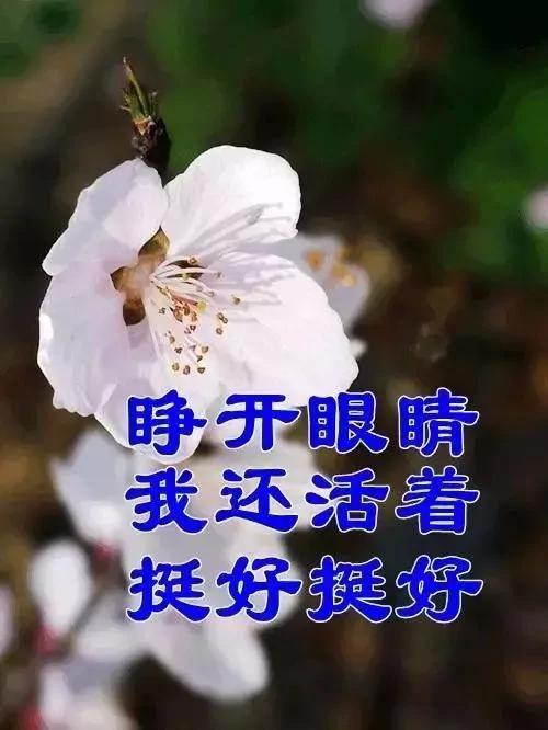 花是浇死的 人是气死的!