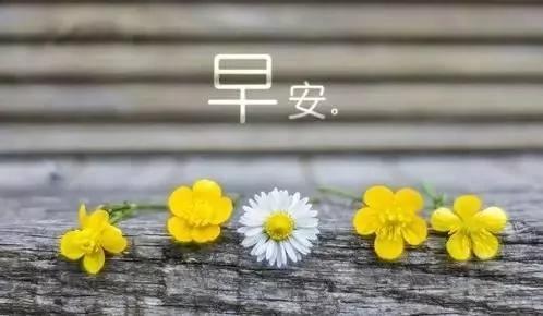 每天上午10点前 做9件事有益身心健康
