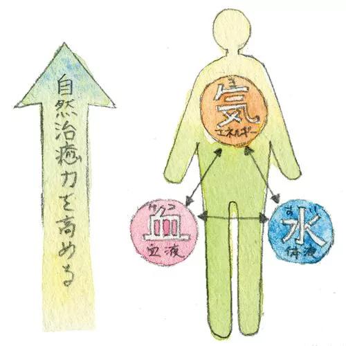 寒性、热性食材怎么分?汉方药师教你用吃的调气血