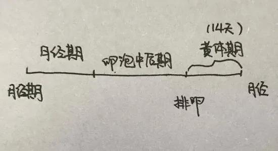 女白领夜跑后体内一半血流没了 原因值得女性警惕