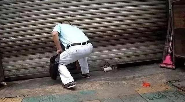 二哈头卡在卷闸门下 路人营救 下一秒却被气疯了!