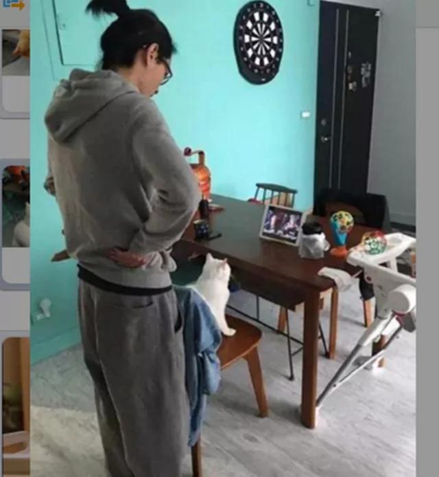 猫咪追剧无法自拔 蹲椅子上不肯离开 主人一脸无奈!