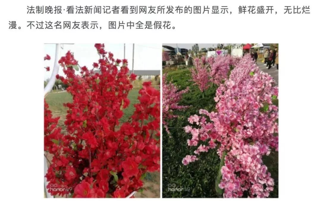 史上最牛假景点大全:没见过它们 五一假期白过了!