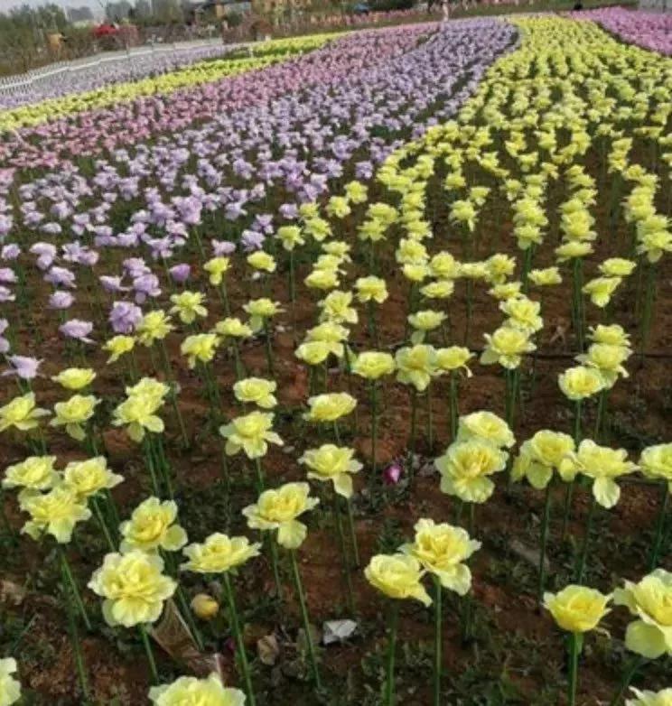 史上最牛假景点大全:没见过它们 五一假期白过了!
