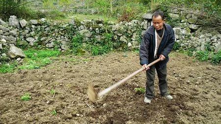 父亲打包剩饭被亲家一家人嘲笑 结帐时经理的“一句话”吓坏了亲家母脸色苍白!