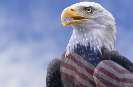 美国印第安纳州宠物大量失踪 见到罪犯后却不能抓 让人哭笑不得!