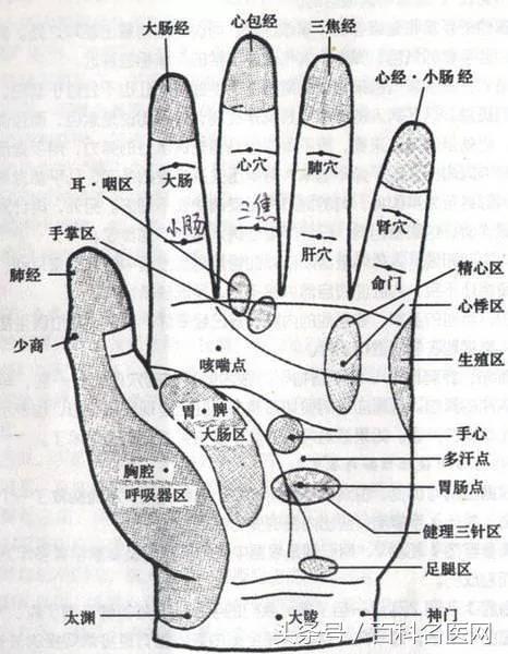 “手穴操+4道保健食谱”帮你赶走疲劳 头不痛了人也精神了