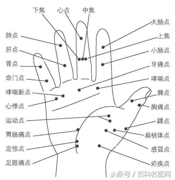 “手穴操+4道保健食谱”帮你赶走疲劳 头不痛了人也精神了