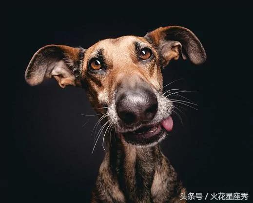重情重义有担当 嫁给4大生肖男 一辈子不愁吃和穿!