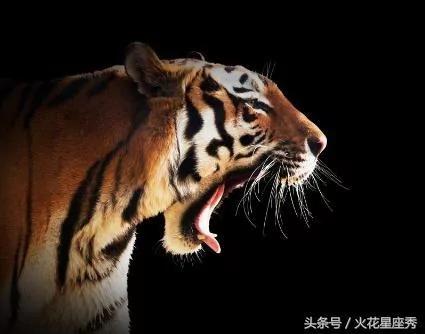 重情重义有担当 嫁给4大生肖男 一辈子不愁吃和穿!
