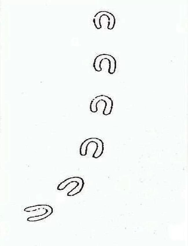 12个至今“只发生过一次”的诡异事件 现代科学家无法破解!