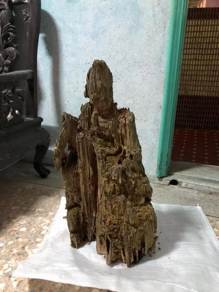 遭白蚁咬10年枯木竟变“济公佛像”!眼尖网友发现“手上还有惊人细节”根本神迹再现!