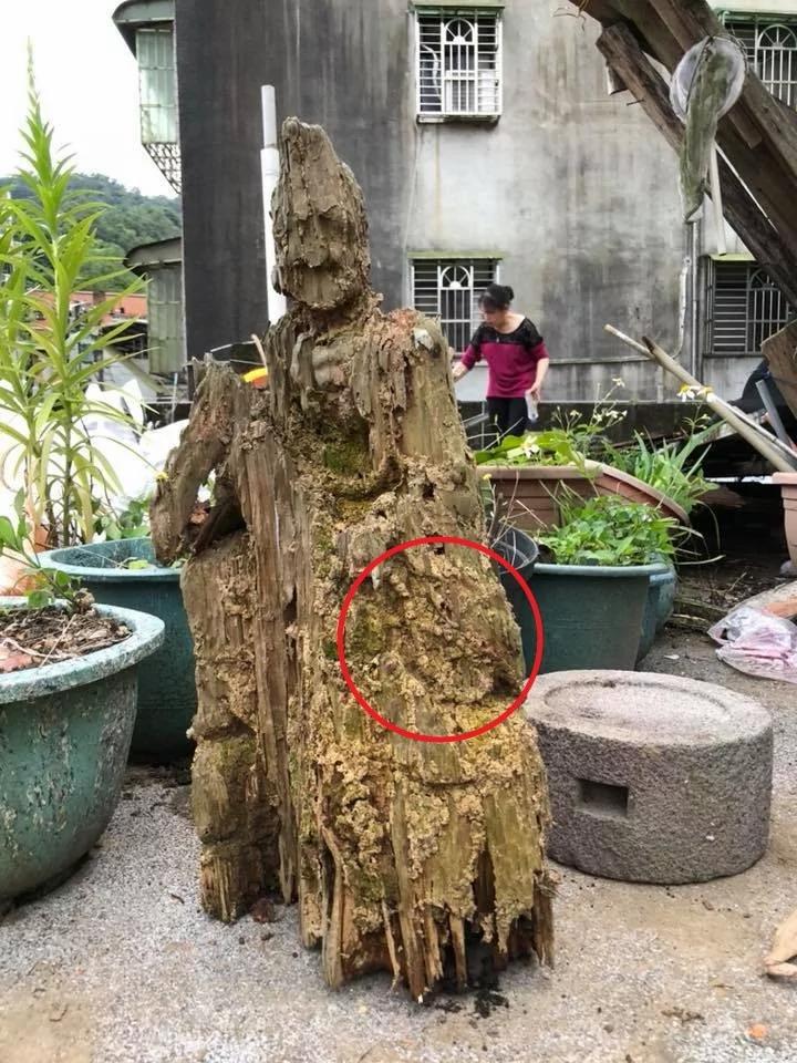 遭白蚁咬10年枯木竟变“济公佛像”!眼尖网友发现“手上还有惊人细节”根本神迹再现!