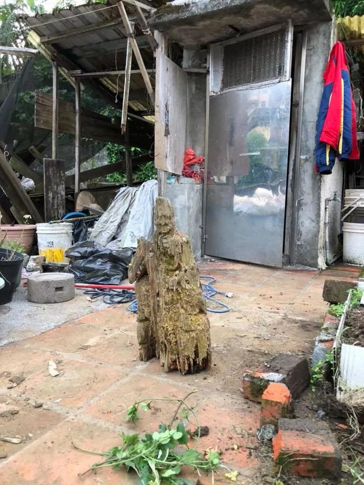 遭白蚁咬10年枯木竟变“济公佛像”!眼尖网友发现“手上还有惊人细节”根本神迹再现!