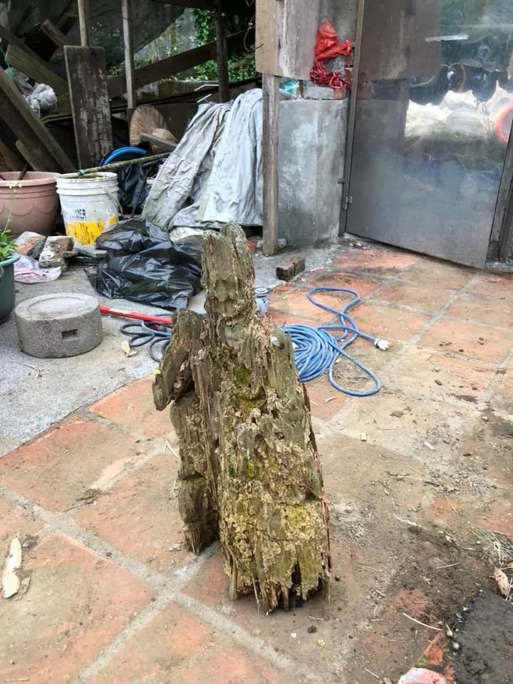 遭白蚁咬10年枯木竟变“济公佛像”!眼尖网友发现“手上还有惊人细节”根本神迹再现!