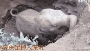 朋友圈最真实的偷拍照:这世上除了生死 都是小事