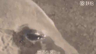 朋友圈最真实的偷拍照:这世上除了生死 都是小事