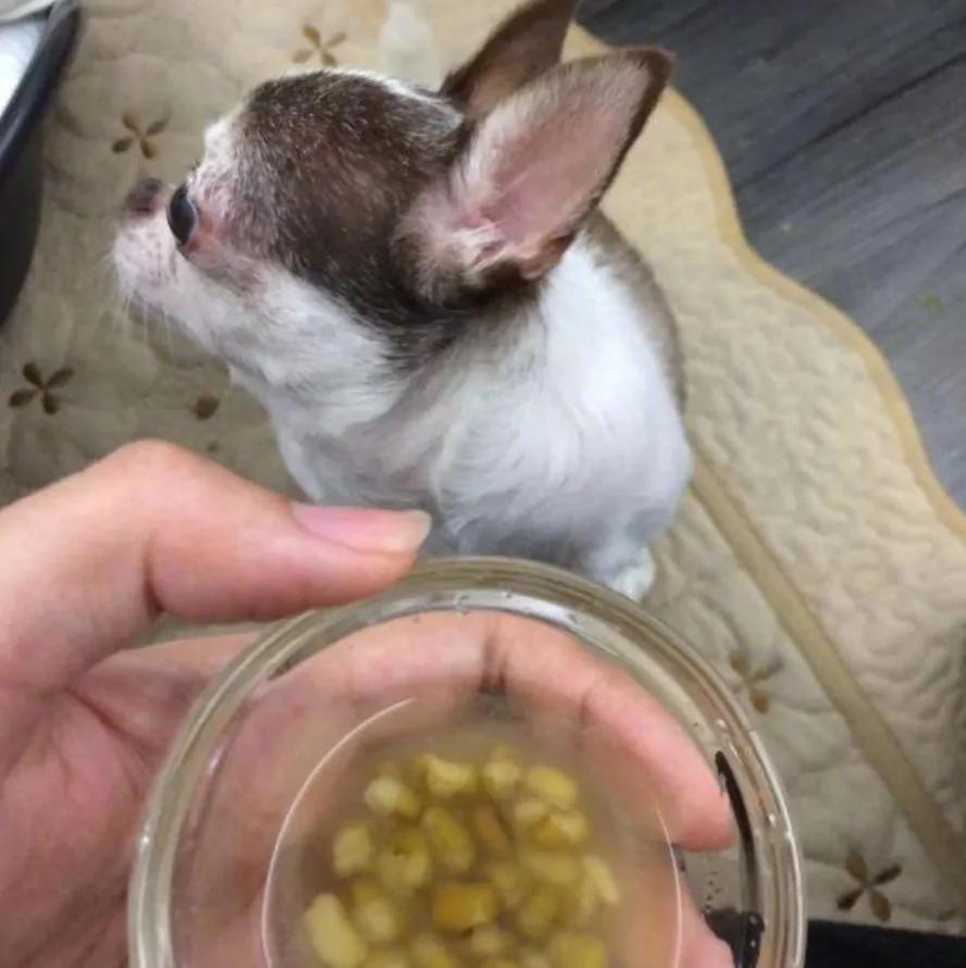 朋友圈最真实的偷拍照:这世上除了生死 都是小事