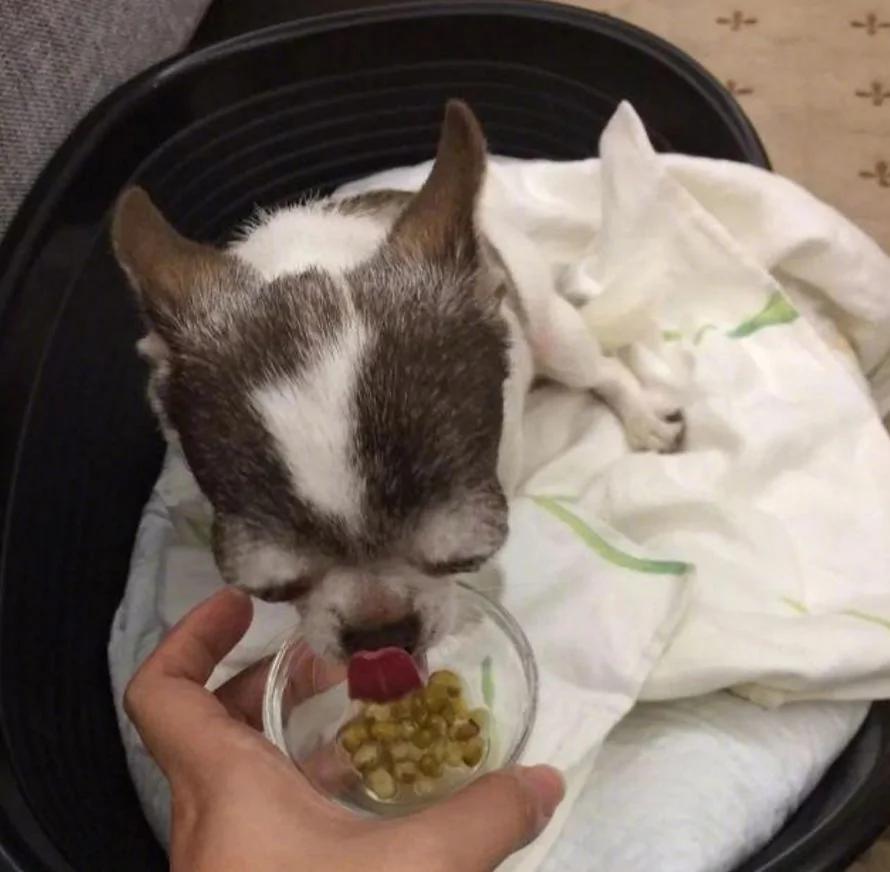 朋友圈最真实的偷拍照:这世上除了生死 都是小事