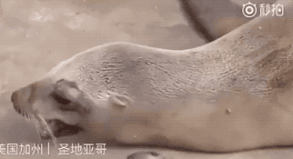 朋友圈最真实的偷拍照:这世上除了生死 都是小事