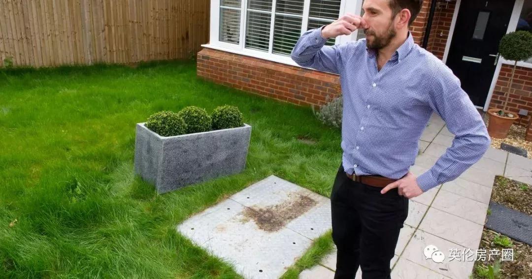 英国夫妇花半生积蓄630万买房 像住在了粪坑