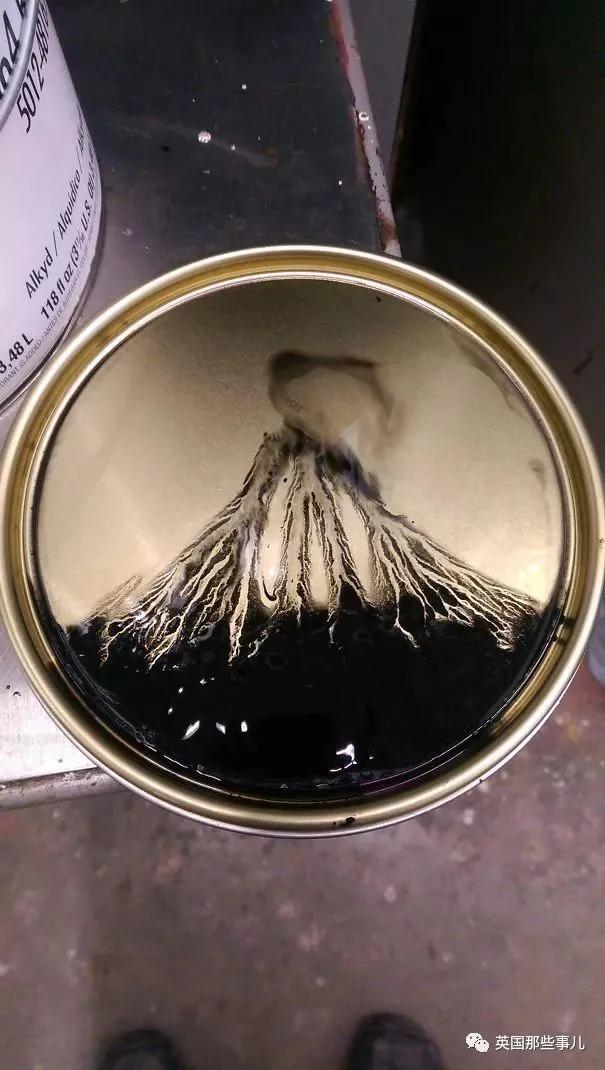 生活中无意间发现的巧合 却美好的如同大师级画作!