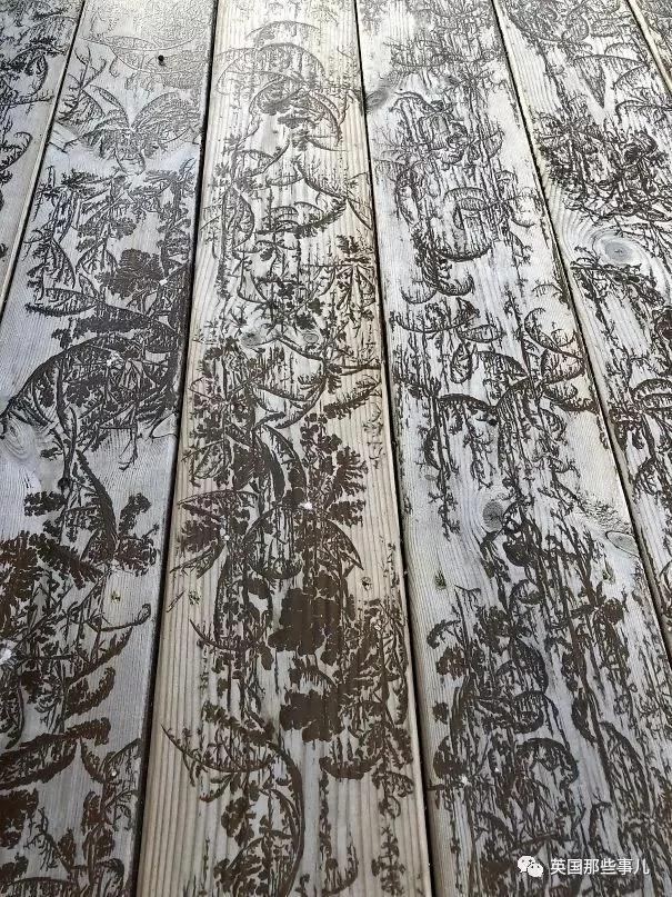 生活中无意间发现的巧合 却美好的如同大师级画作!