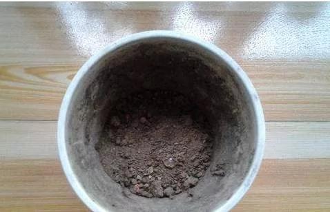 养花十年没换过盆?全因做了这个“年年花开满枝”