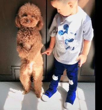 泰迪和宝宝被罚站 宝宝:哎 你没穿鞋 狗:哼 懒得搭理你!