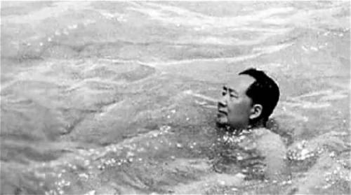 毛游长江破奥林匹克游泳纪录?令人捧腹