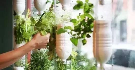 用一点“食盐”和“醋”就能解决的事 别再花冤枉钱了