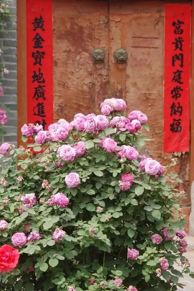 每天醒来 原谅所有的人和事